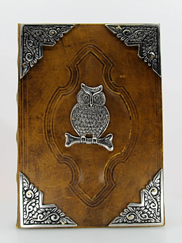 Caderno com capa em relevo de coruja