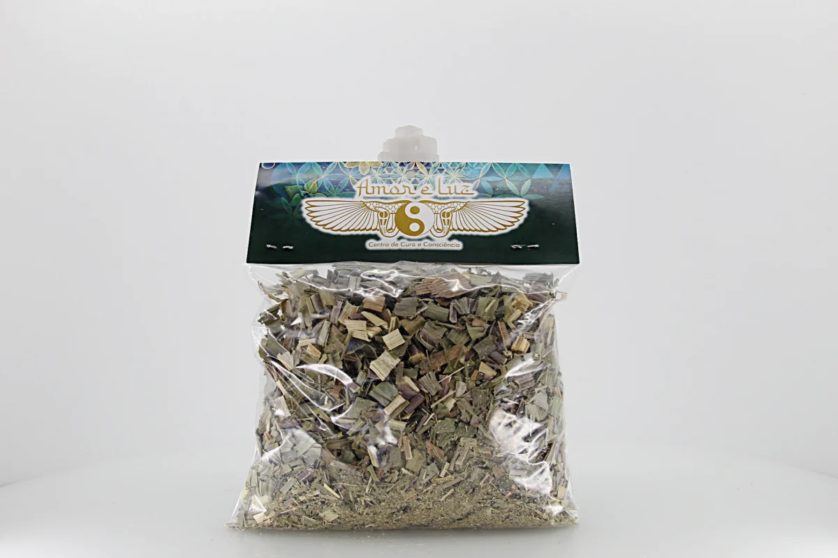 A cana-do-brejo é uma planta natural tradicionalmente utilizada em práticas medicinais e espirituais.