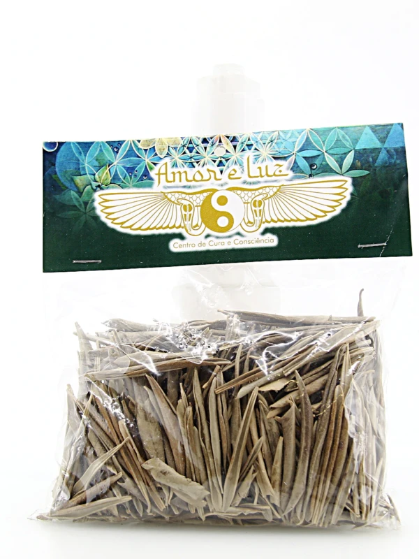 A folha de oliveira é uma planta com propriedades medicinais e energeticas