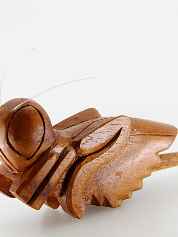 O gafanhoto de madeira é inspirado na natureza