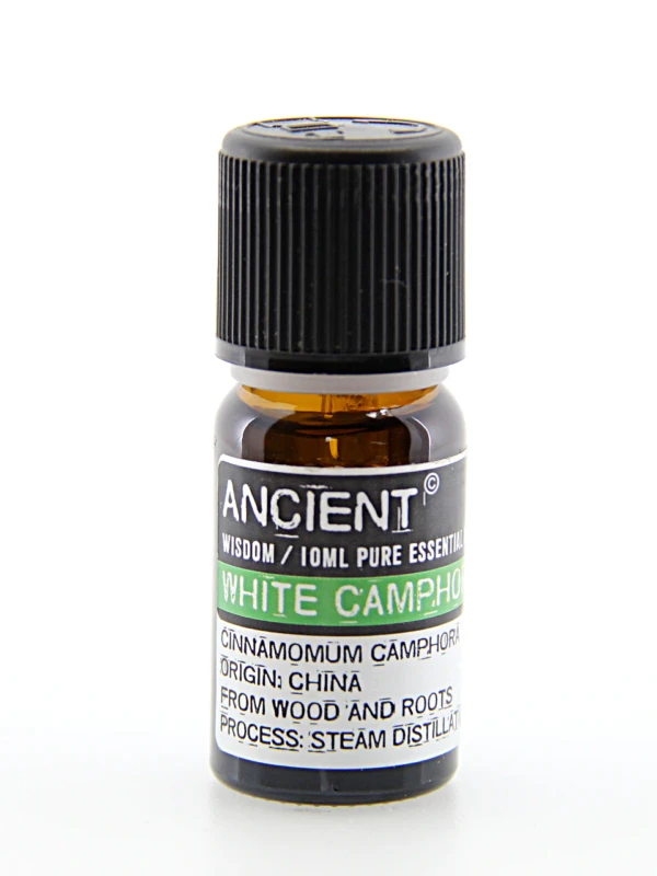 Óleo essencial de cânfora branca