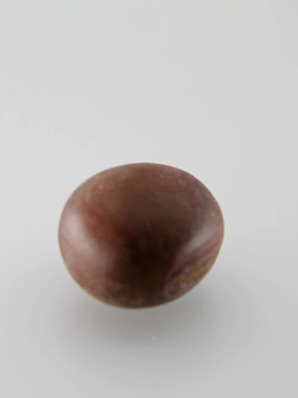 Sementes Olho de Boi