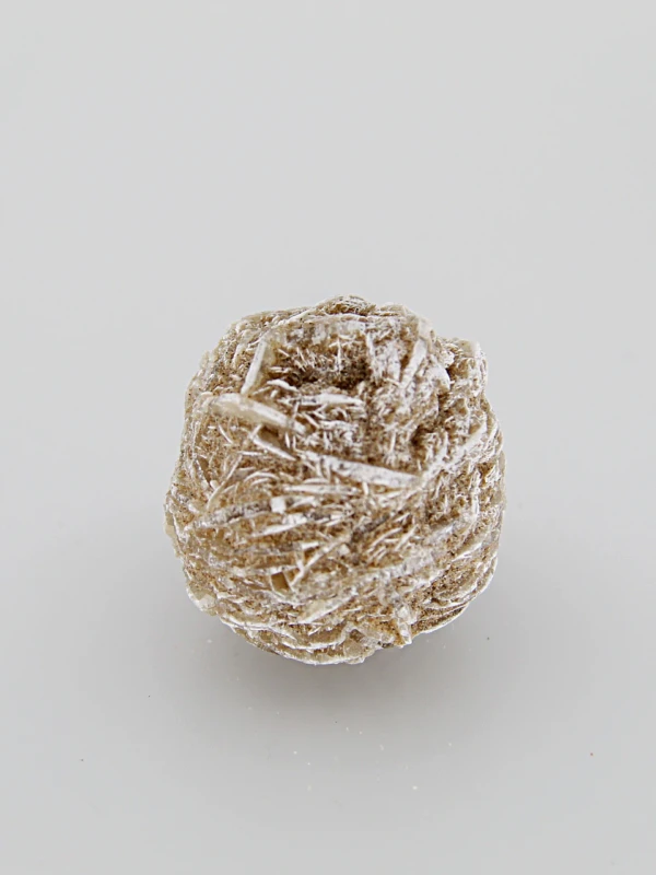 Rosa do Deserto